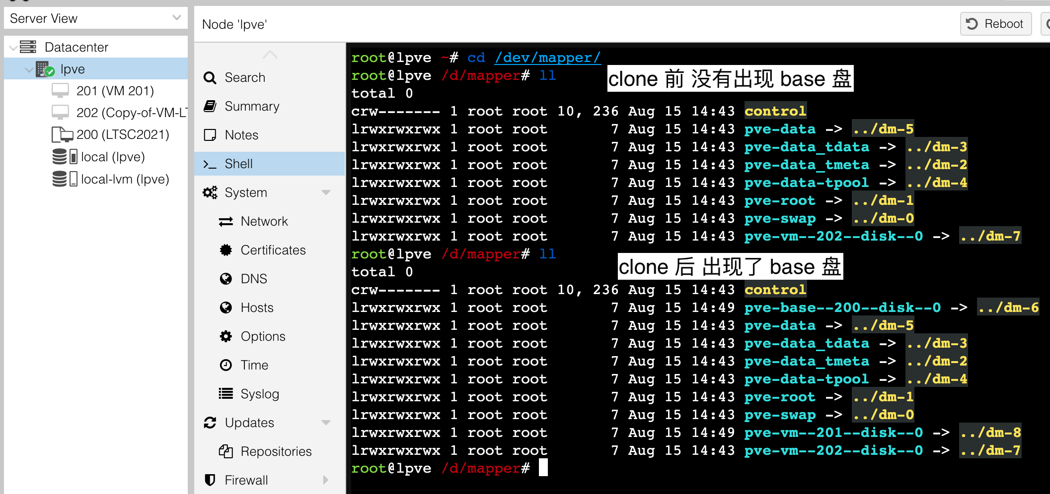 ls /dev/mapper