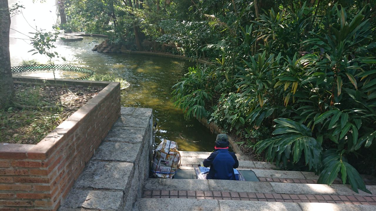 Kowloon Park 9