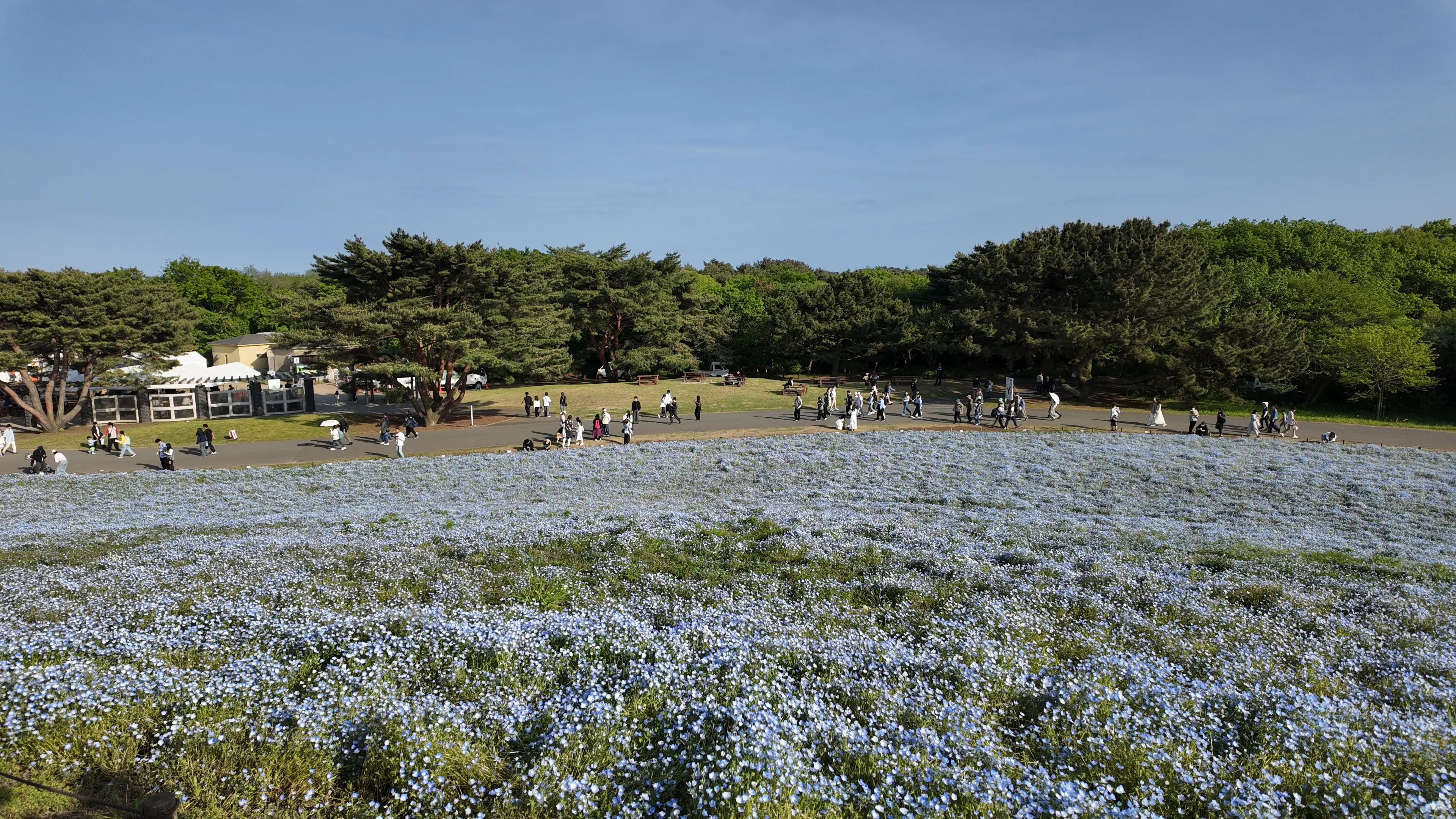hitachi-park